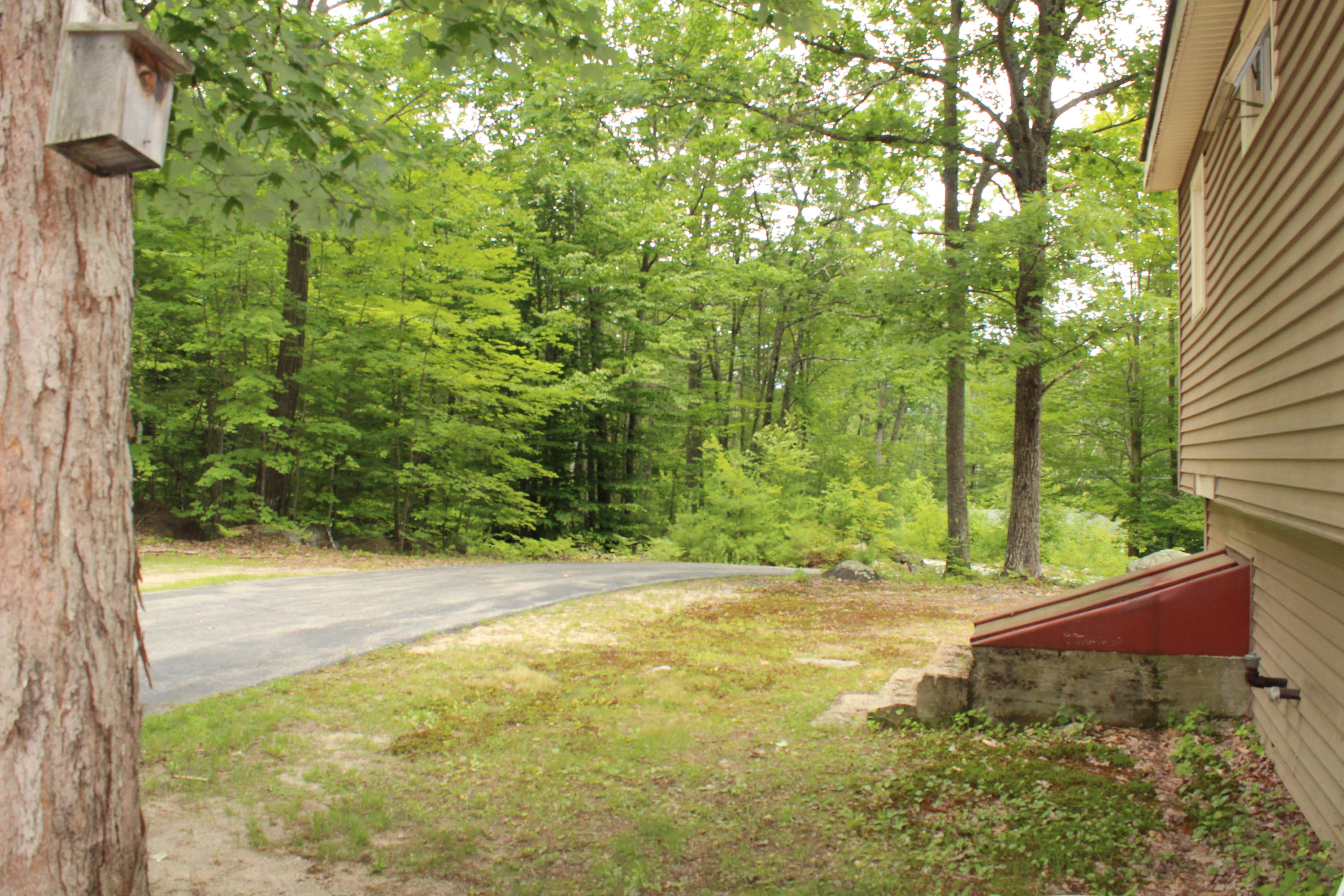180 Lost Mile Road West Newfield, ME 04095 - Photo 24 of 34 IMG_5625