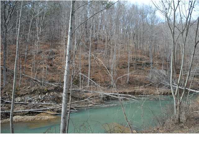 19 Hog Jowl Road Chickamauga, GA 30707 - Photo 4 of 13 Additional Photo