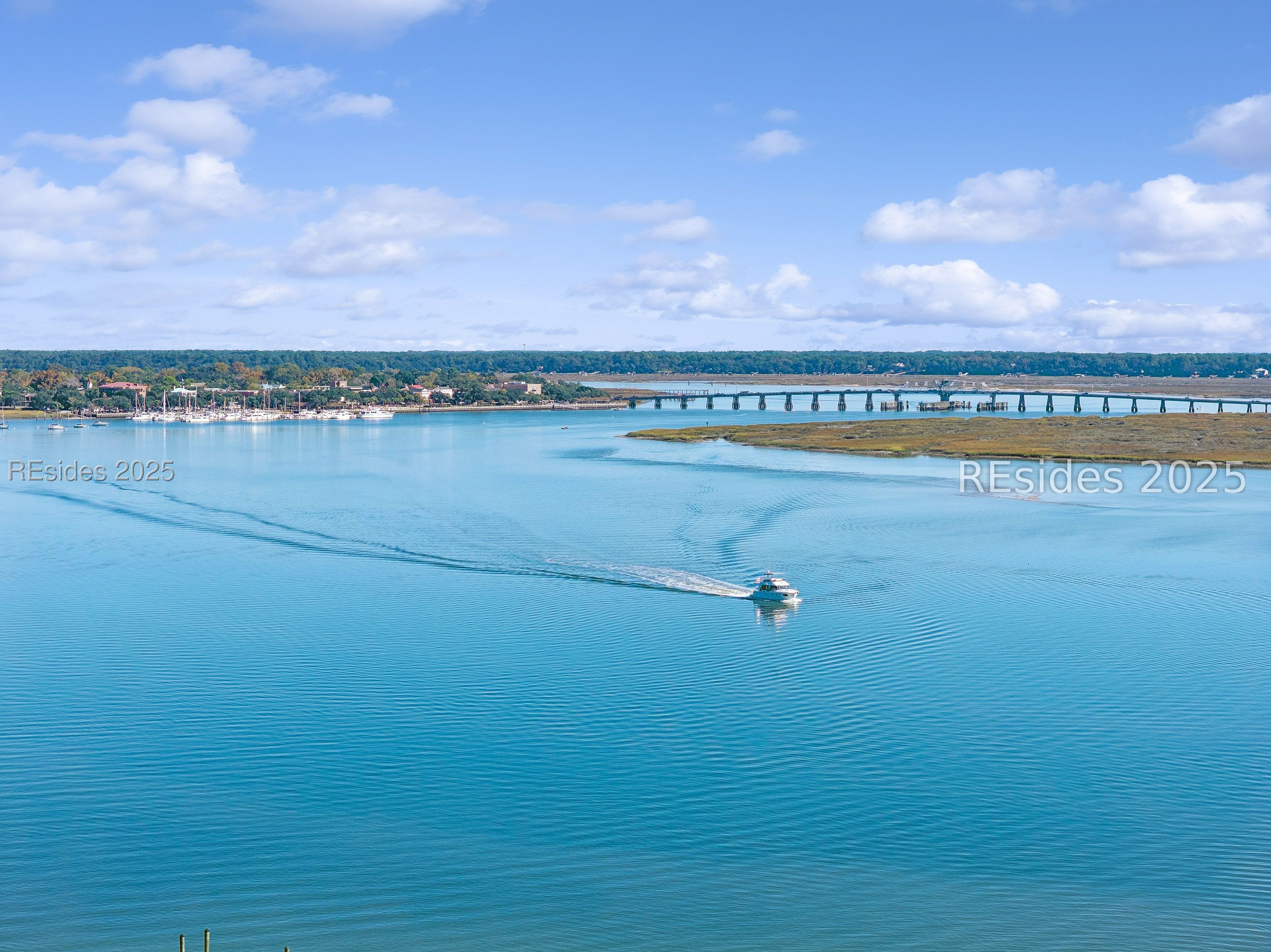 895 Ribaut Road, Unit A2 Beaufort, SC 29902 - Photo 3 of 87