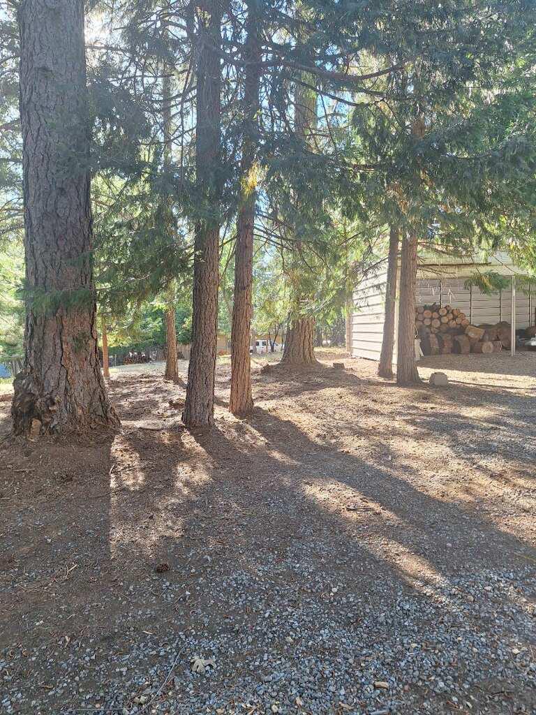 5695 Juarez Road Pollock Pines, CA 95726 - Photo 43 of 55