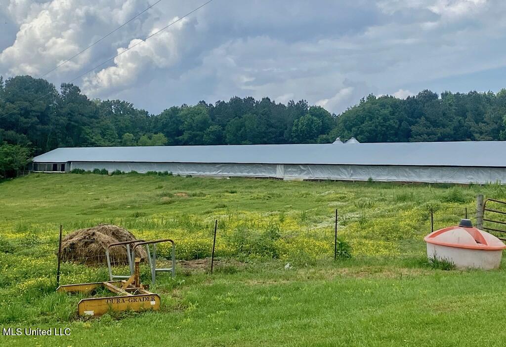 0 Freeny Road Carthage, MS 39051 - Photo 13 of 39 13