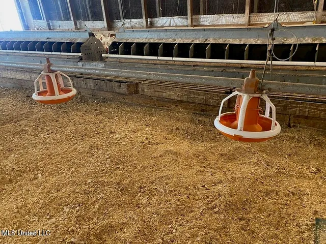 $685,000 | 0 Freeny Road, Carthage, MS 39051