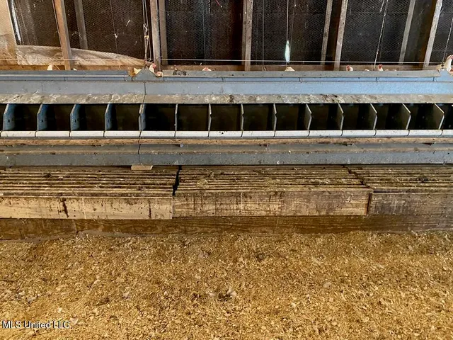 $685,000 | 0 Freeny Road, Carthage, MS 39051