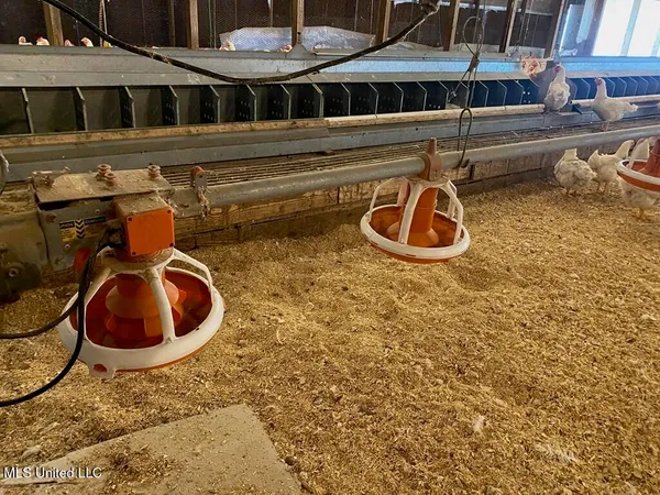 $685,000 | 0 Freeny Road, Carthage, MS 39051