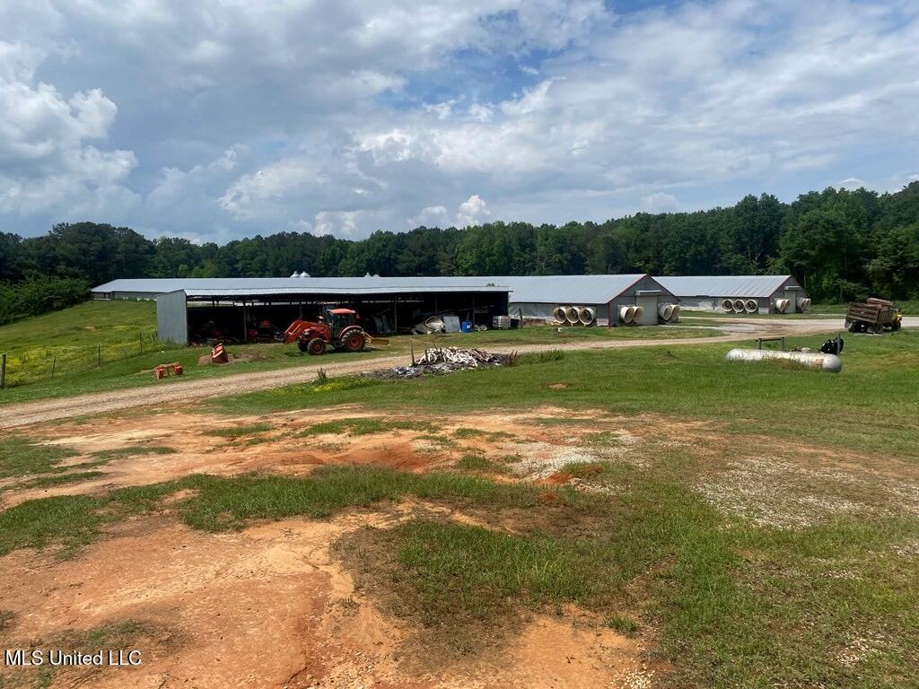 0 Freeny Road Carthage, MS 39051 - Photo 3 of 39 3