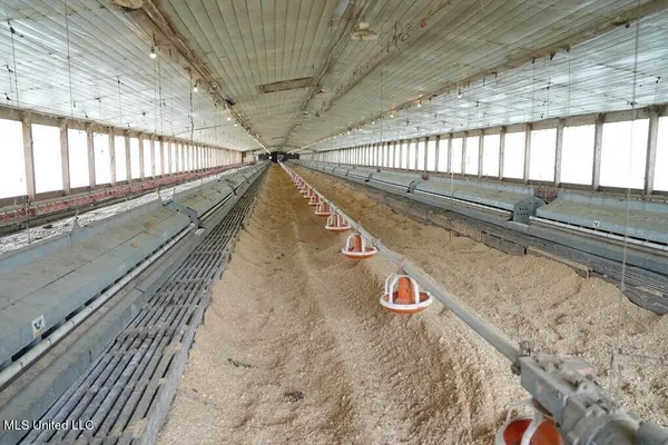 $685,000 | 0 Freeny Road, Carthage, MS 39051