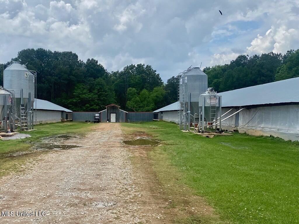 0 Freeny Road Carthage, MS 39051 - Photo 10 of 39 10
