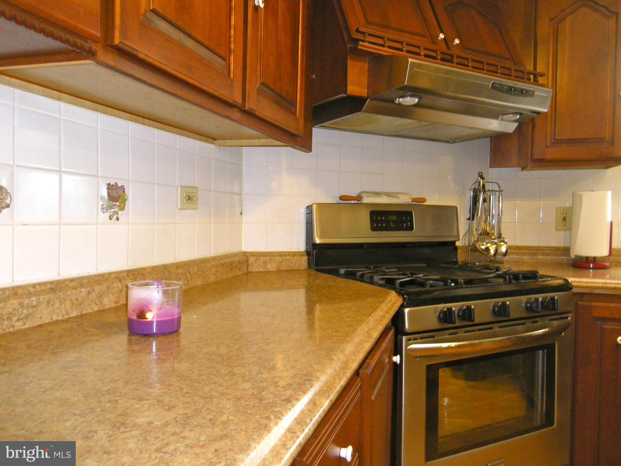 9262 Elk Run Road Catlett, VA 20119 - Photo 14 of 30 Updated Kitchen with Stainless Appliances
