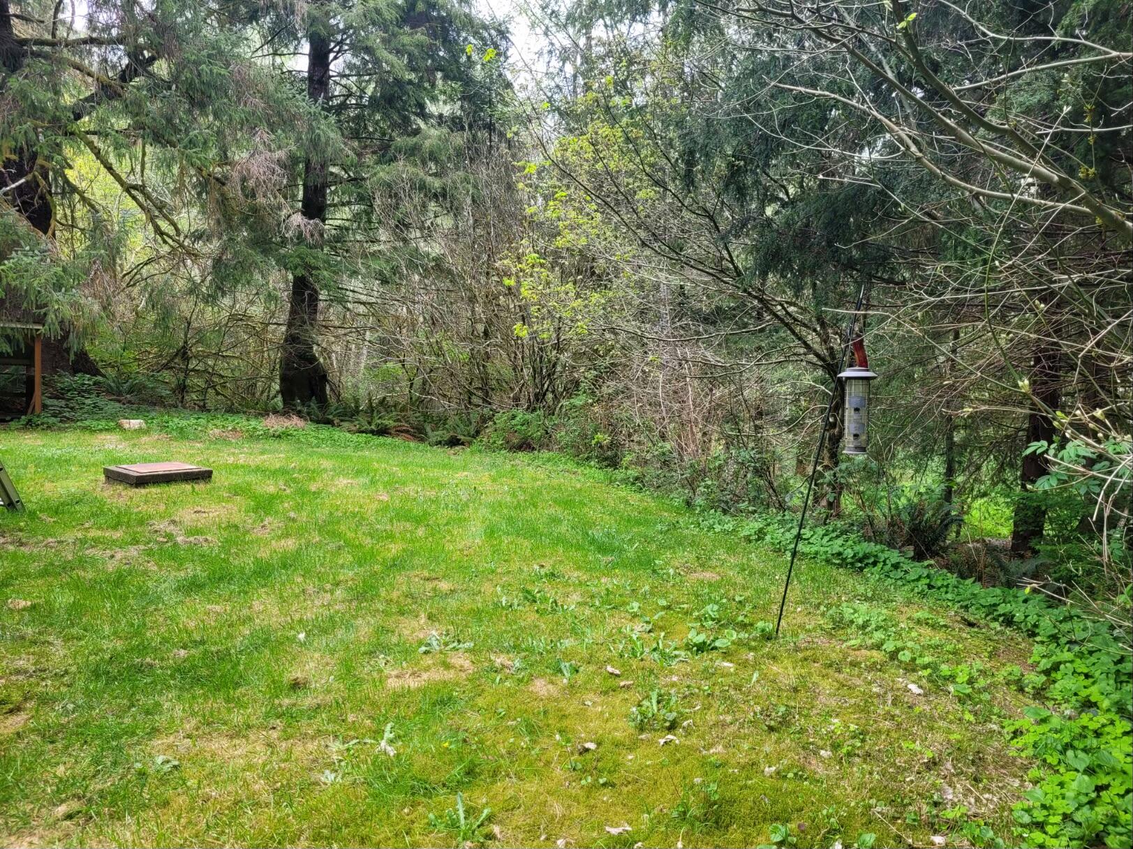 17550 Crest View Lane Nehalem, OR 97131 - Photo 20 of 20 20240424_124839