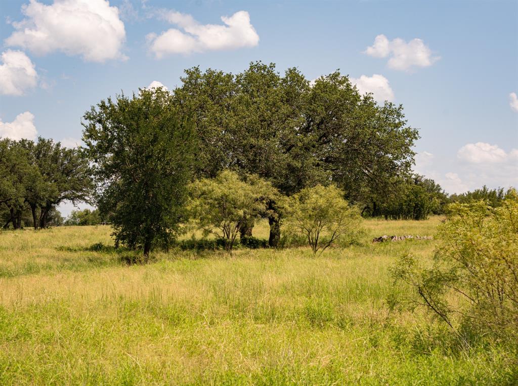 2217 River Shls Road Mineral Wells, TX 76067 - Photo 21 of 39