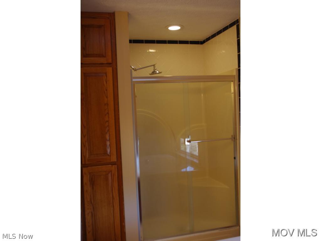 204 Whippoorwill Ridge Road Waverly, WV 26184 - Photo 17 of 24 MB shower with whirlpool tub