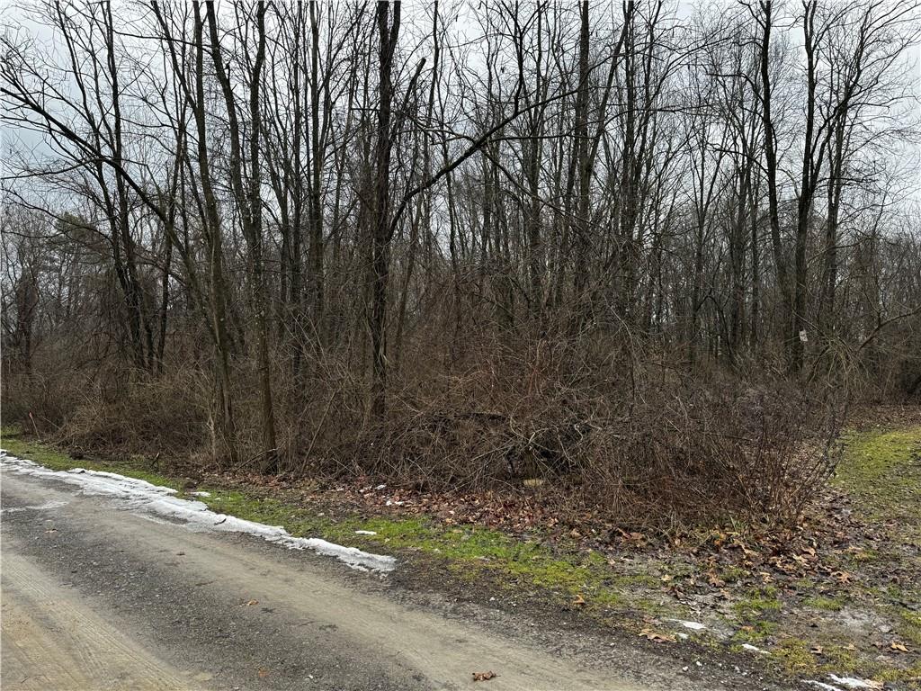 0 Fowler Lane New Castle, PA 16101 - Photo 2 of 3