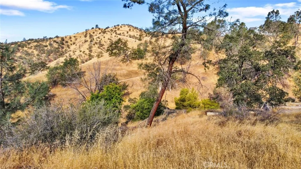 9999 Balboa Court Friant, CA 93626 - Photo 4 of 9 a view of mountains