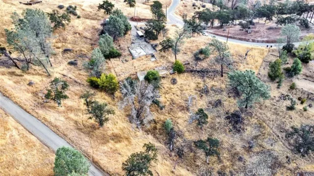 a view of a yard with a tree