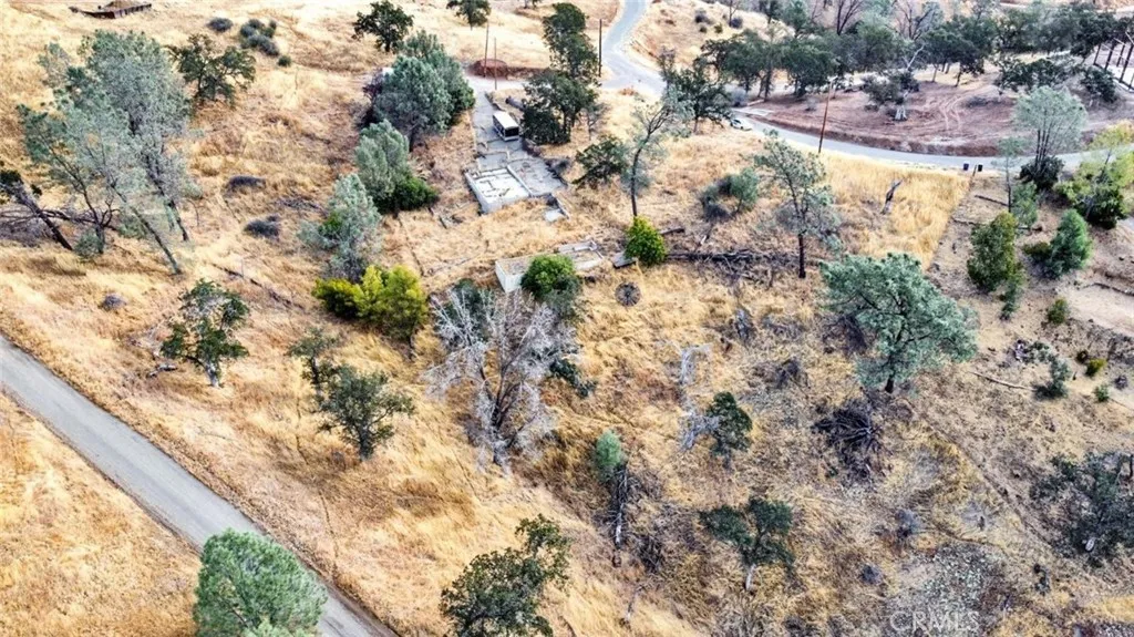 9999 Balboa Court Friant, CA 93626 - Photo 5 of 9 a view of a yard with a tree