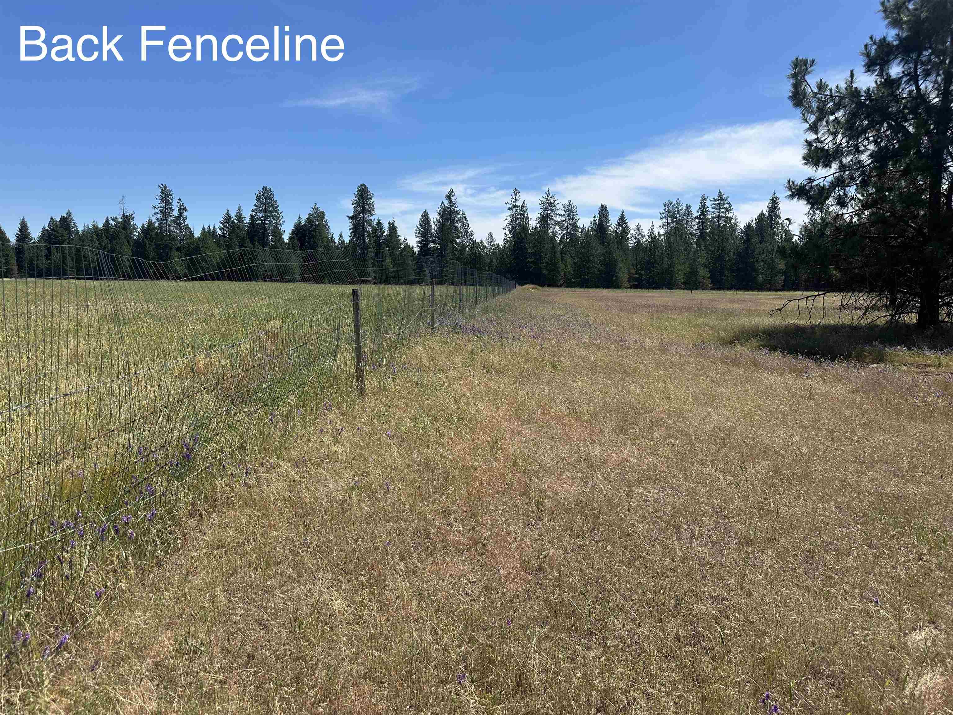 5717 East Oregon Road Elk, WA 99009 - Photo 45 of 50