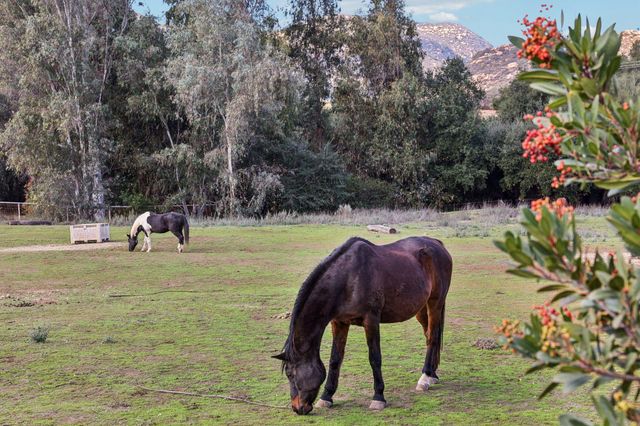 $4,250,000 | 26086 Bear Valley Heights Road, Unit 4, Valley Center, CA 92082