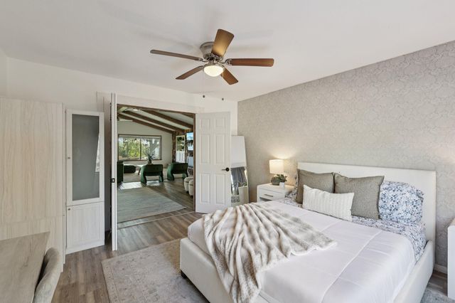 a view of a palm trees in a backyard