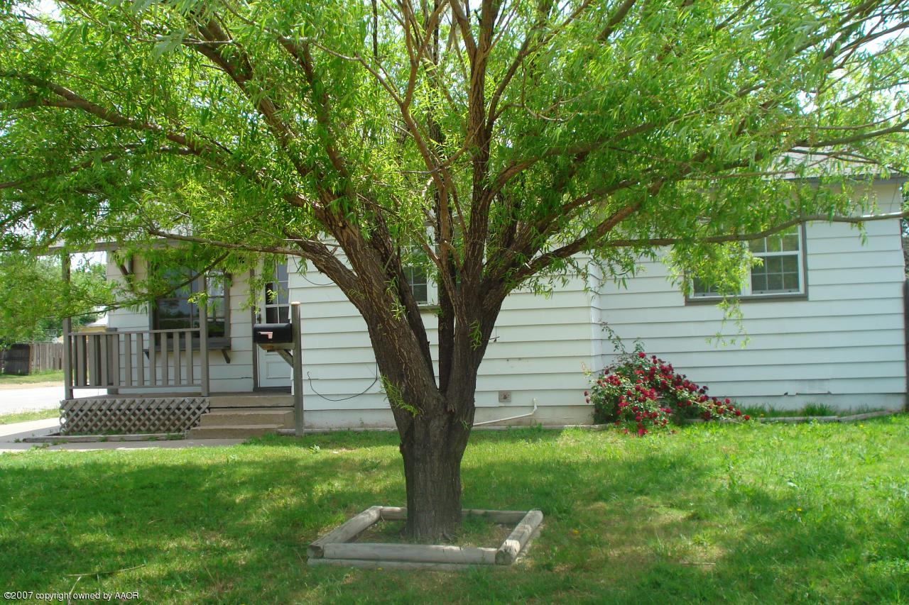 4701 South Fannin Street Amarillo, TX 79110 - Photo 9 of 10 Landscape 1