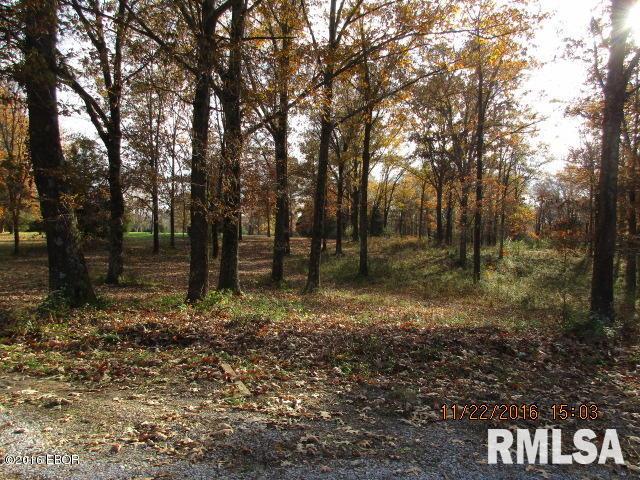 8181 Benton Field Road Benton, IL 62812 - Photo 4 of 12 Gallery Image 4