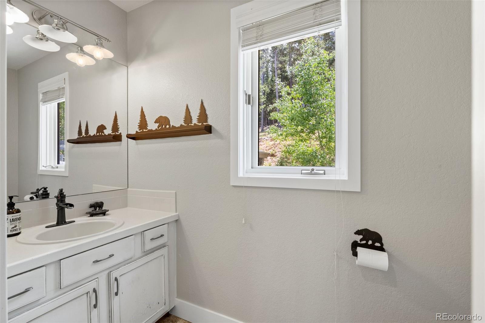 1682 Sinton Road Evergreen, CO 80439 - Photo 11 of 40 a bathroom with a sink and a mirror
