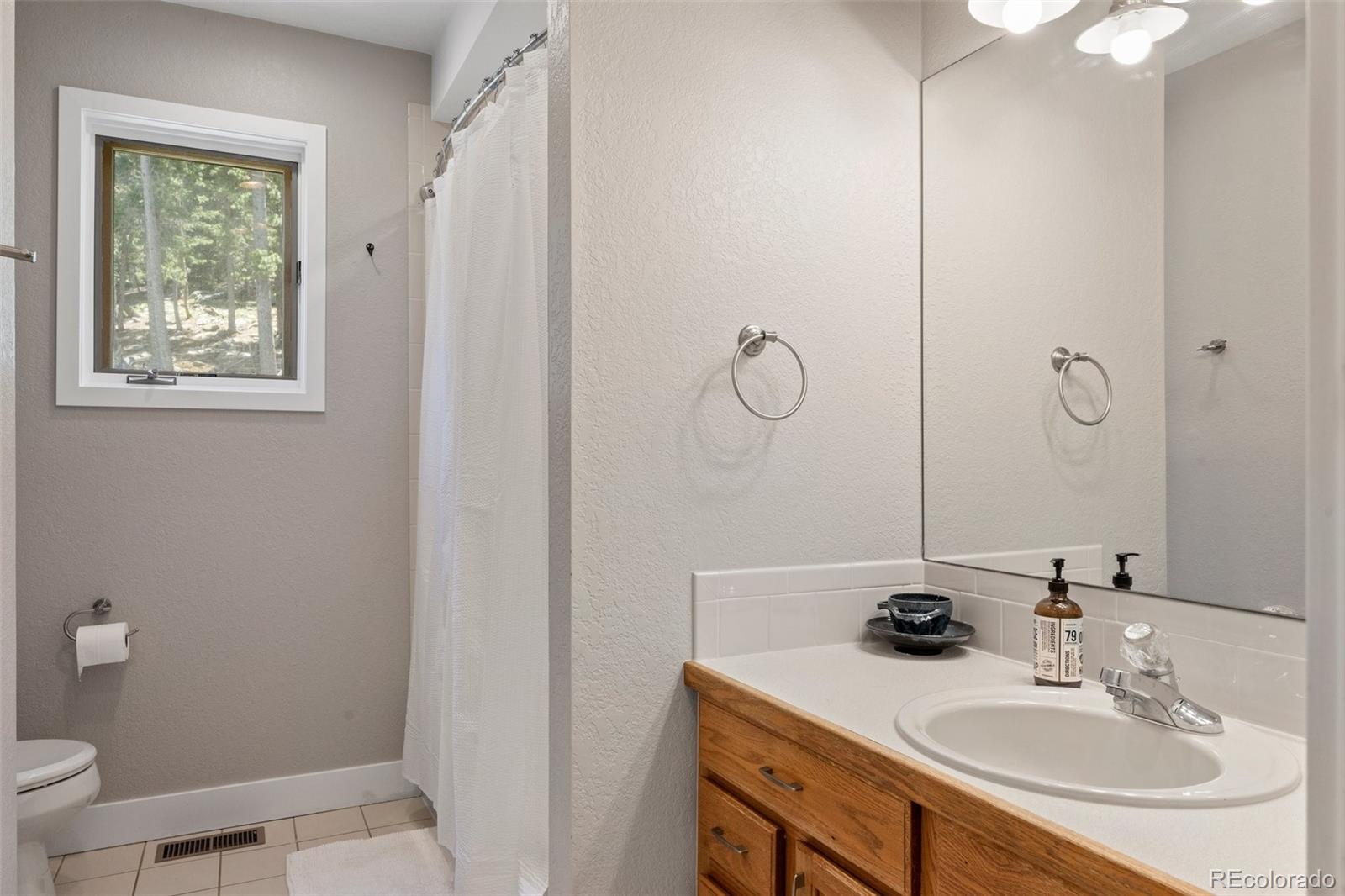 1682 Sinton Road Evergreen, CO 80439 - Photo 22 of 40 a bathroom with a sink a toilet and a mirror