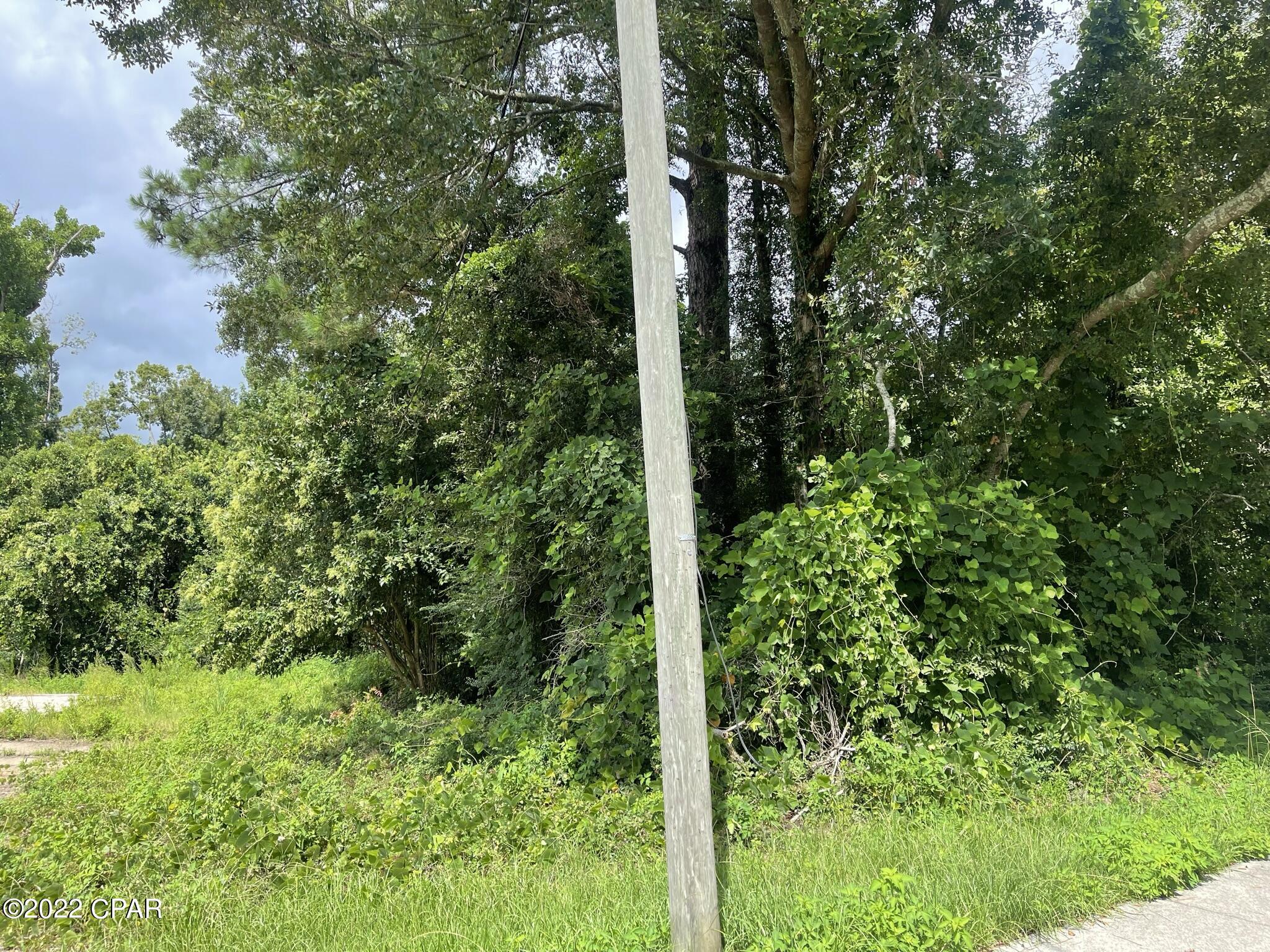 0 Carters Mill Road Marianna, FL 32446 - Photo 2 of 5