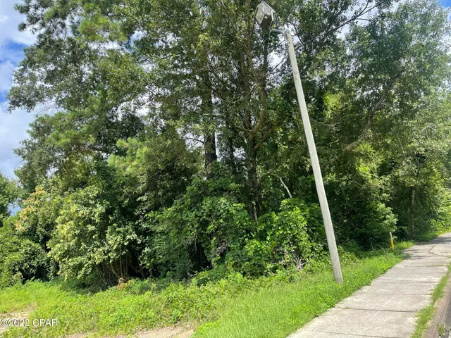 $49,900 | 0 Carters Mill Road, Marianna, FL 32446