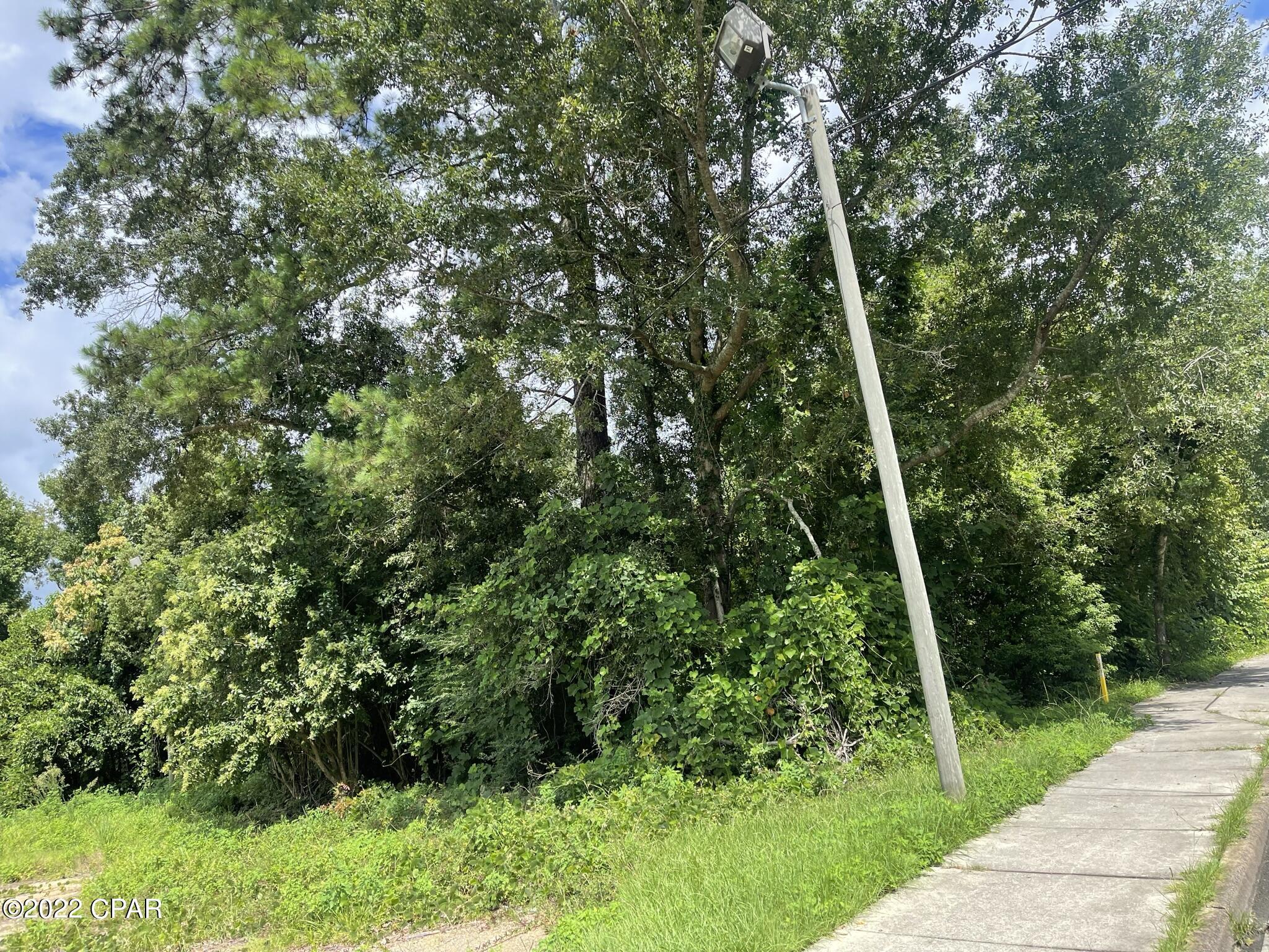 0 Carters Mill Road Marianna, FL 32446 - Photo 3 of 5