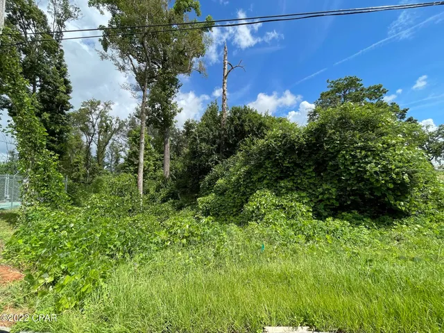 $49,900 | 0 Carters Mill Road, Marianna, FL 32446