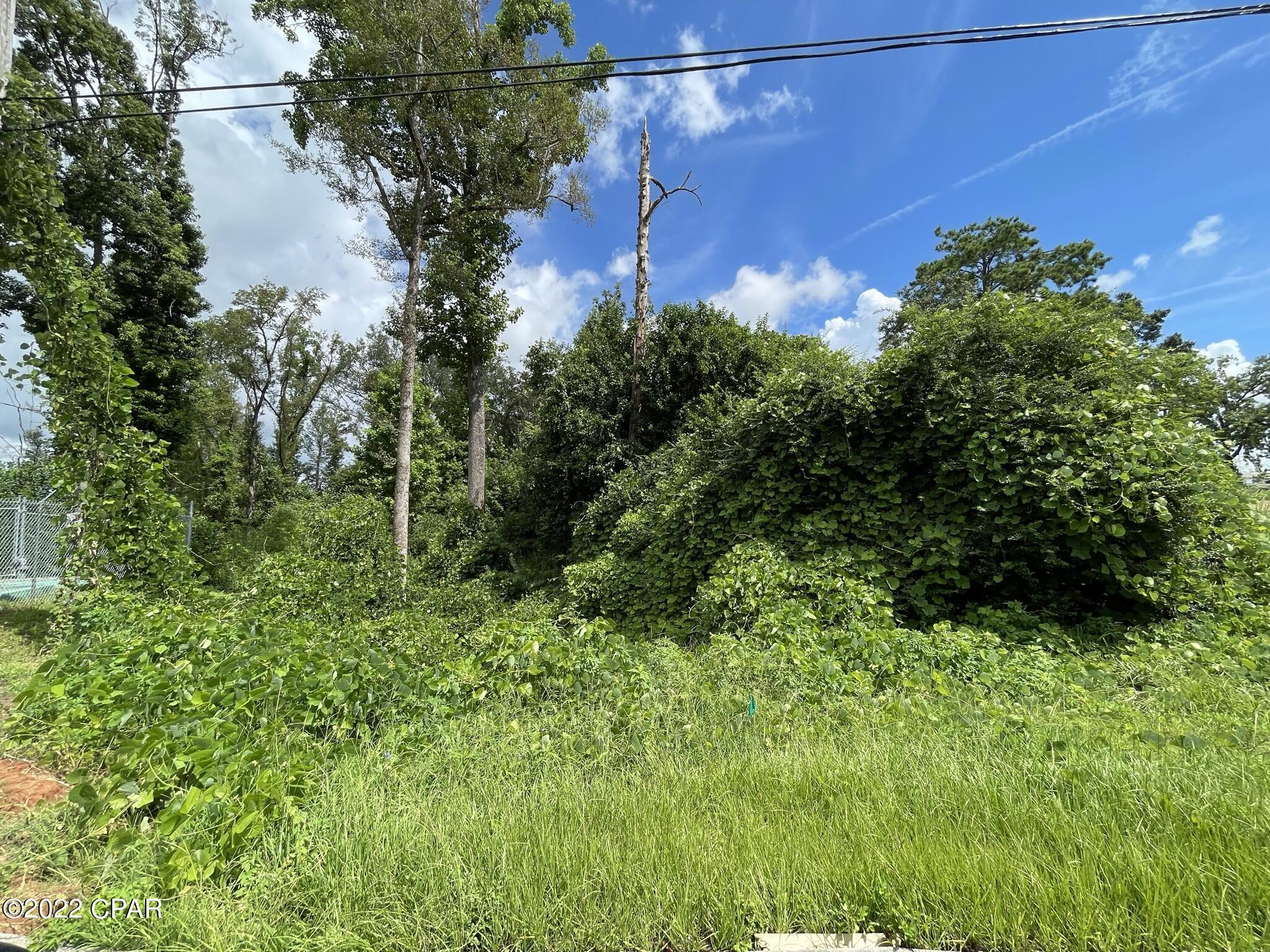 0 Carters Mill Road Marianna, FL 32446 - Photo 4 of 5