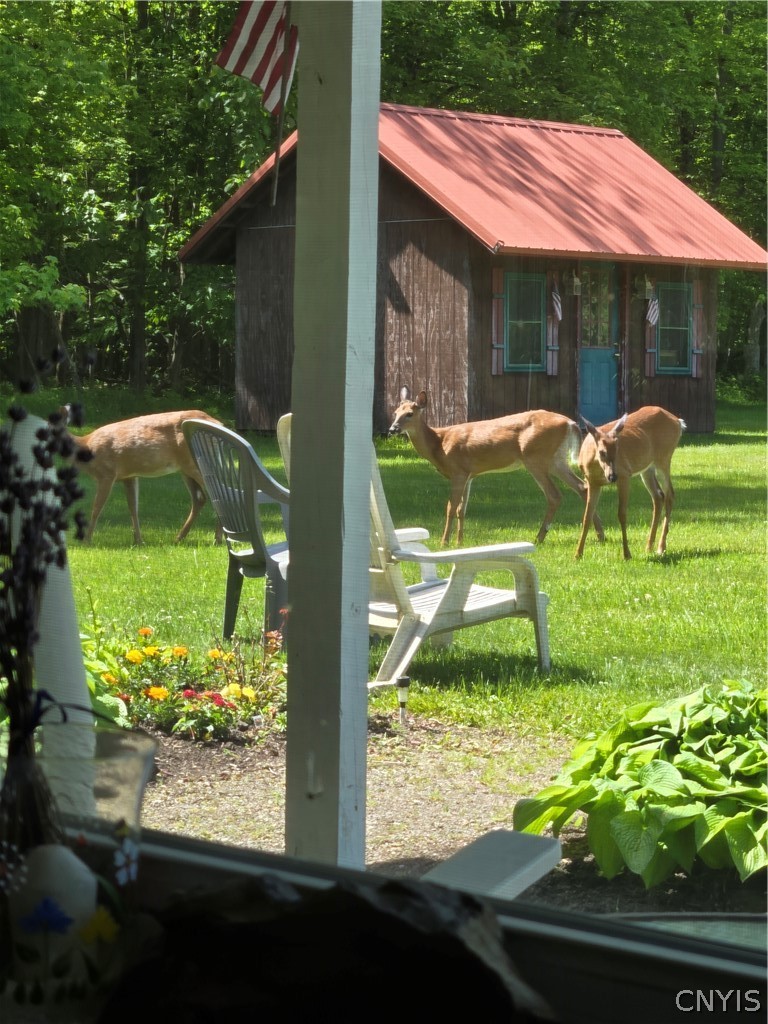 2195 County Rte 15 Sandy Creek, NY 13145 - Photo 42 of 45 Gallery Image 42