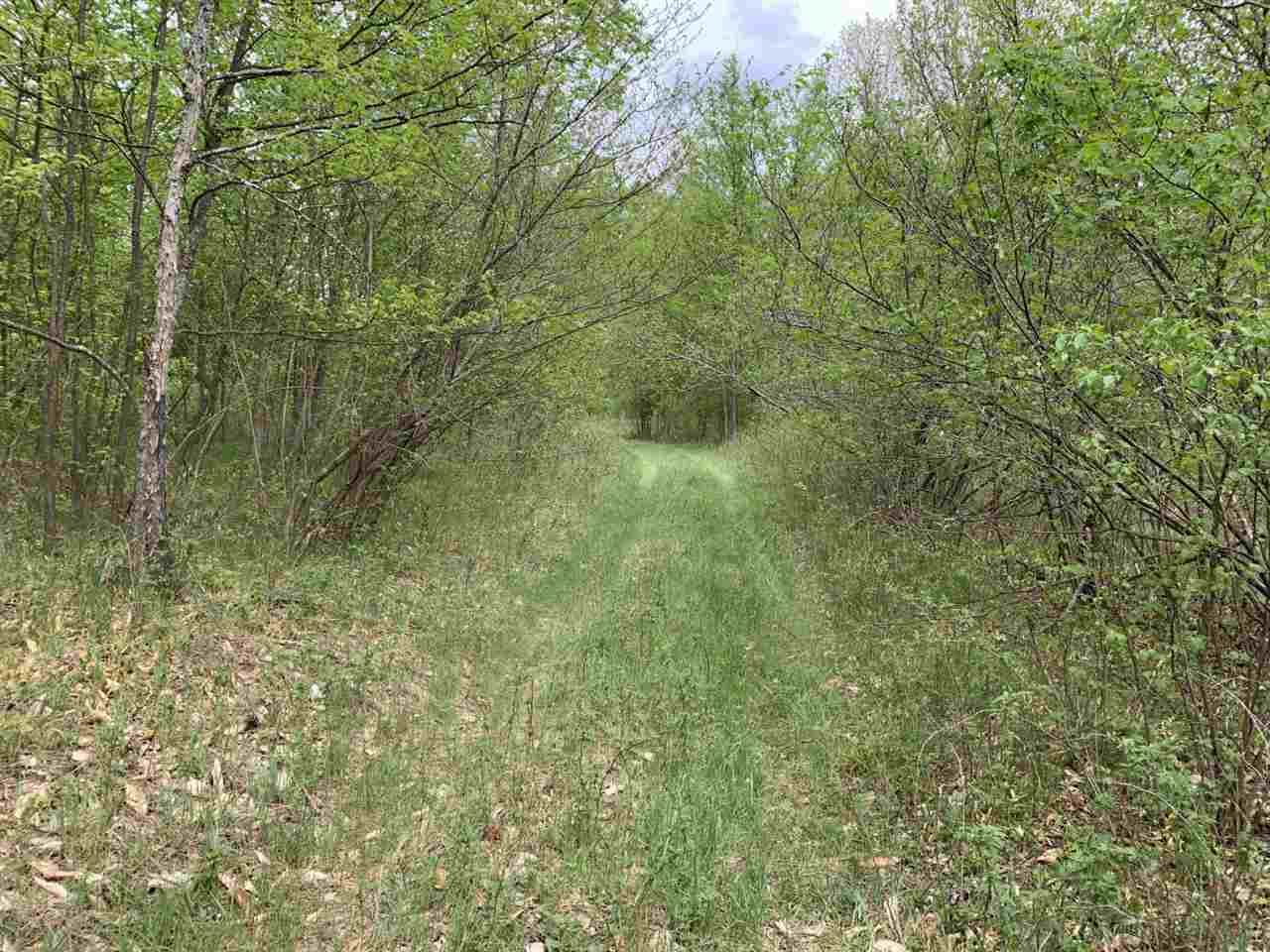 40 South 17 Road Boon, MI 49618 - Photo 14 of 33