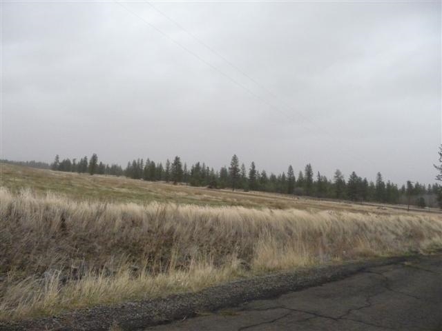 0 South Salnave Road Cheney, WA 99004 - Photo 8 of 10