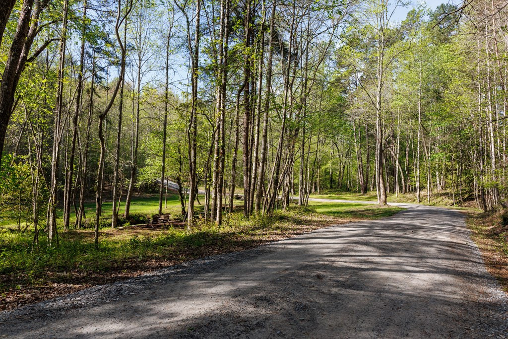 342 Hunter Ridge Murphy, NC 28906 - Photo 24 of 81 Well maintained level roadway
