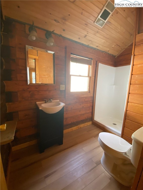 269 Relief Rd Extension Green Mountain, NC 28740 - Photo 16 of 28 Gallery Image 16