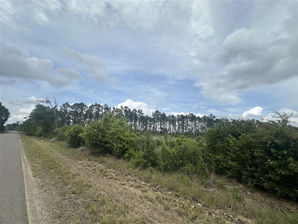 West Santa Fe Road Oakdale, LA 71463 - Photo 6 of 6