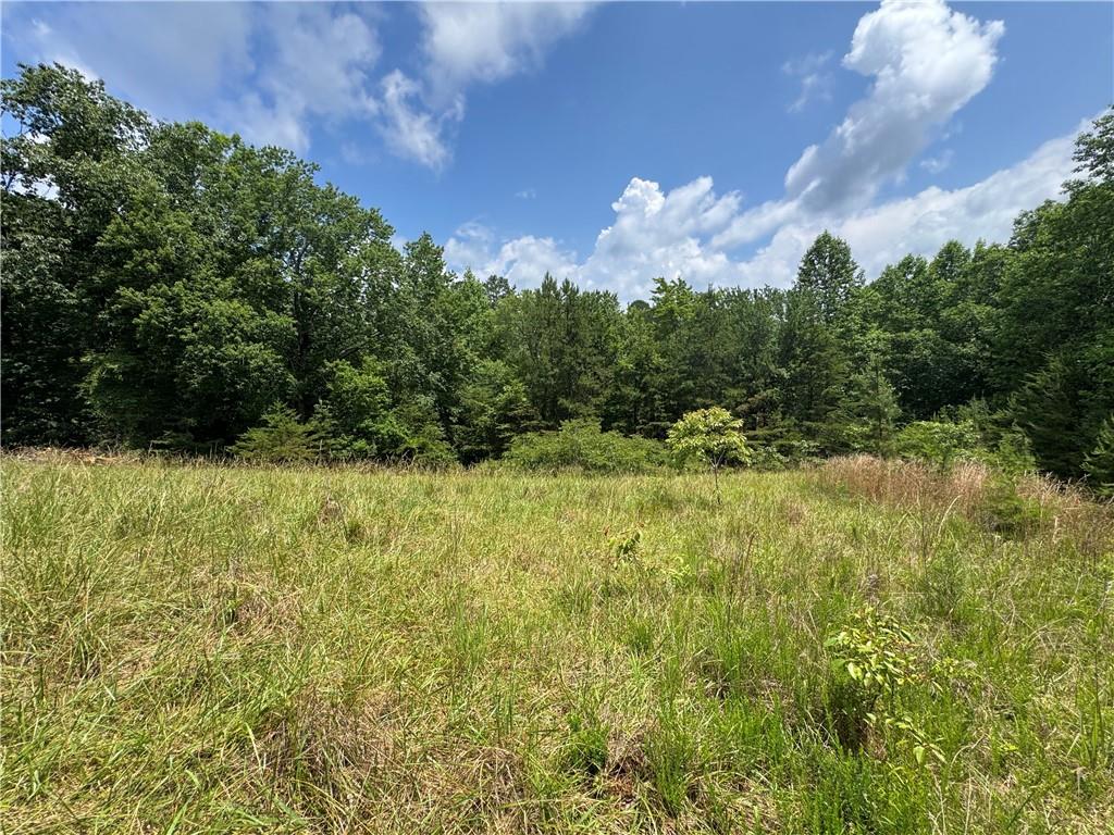 3.5-ac Ben Higgins Road Dahlonega, GA 30533 - Photo 2 of 21
