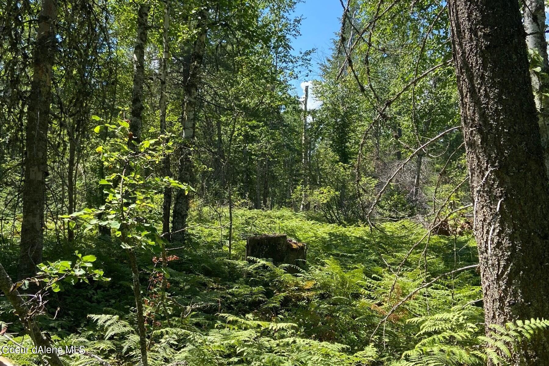 Nna Sitting Bull Rd Road Sandpoint, ID 83864 - Photo 1 of 1 Property view