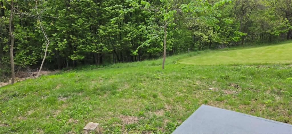 132 Cherry Tree Road Grindstone, PA 15442 - Photo 43 of 46