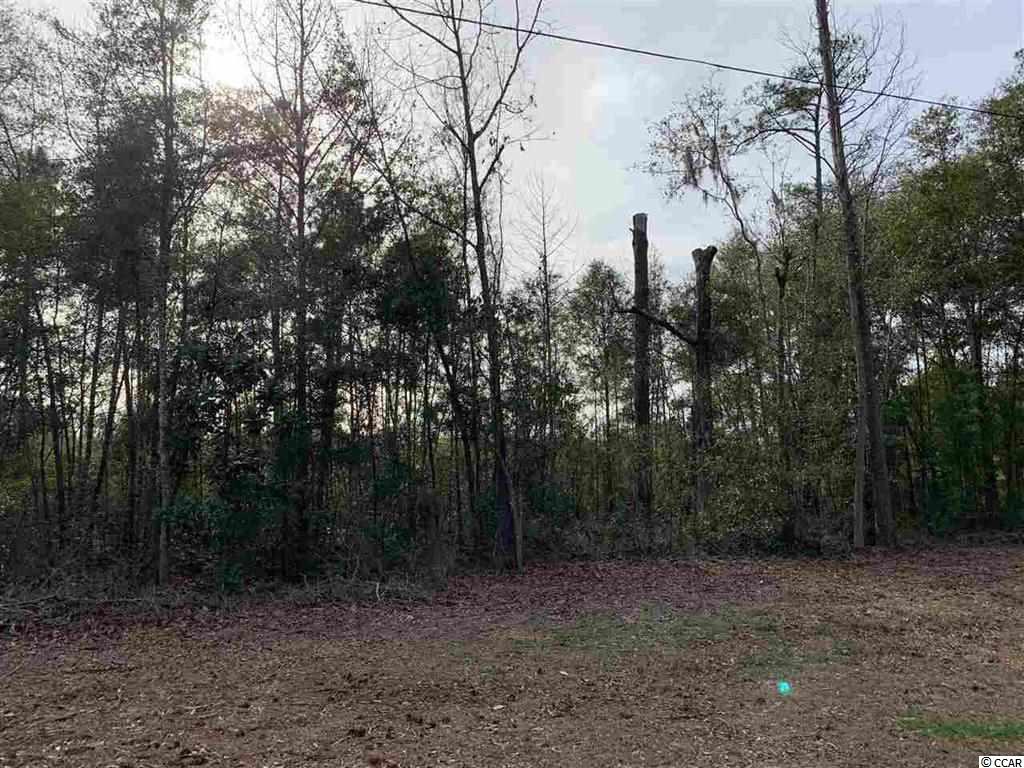 Tbd Lot 1 Steep Landing Road Conway, SC 29526 - Photo 1 of 1 Gallery Image 1