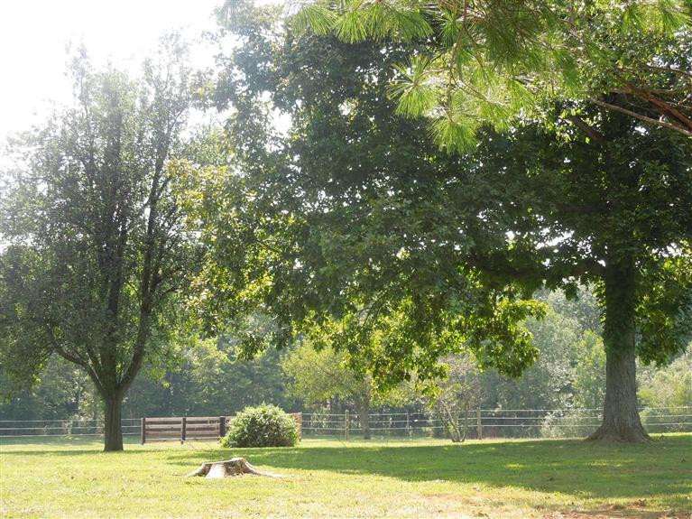 2135 Bondville Road Salvisa, KY 40372 - Photo 48 of 62 Photo 48