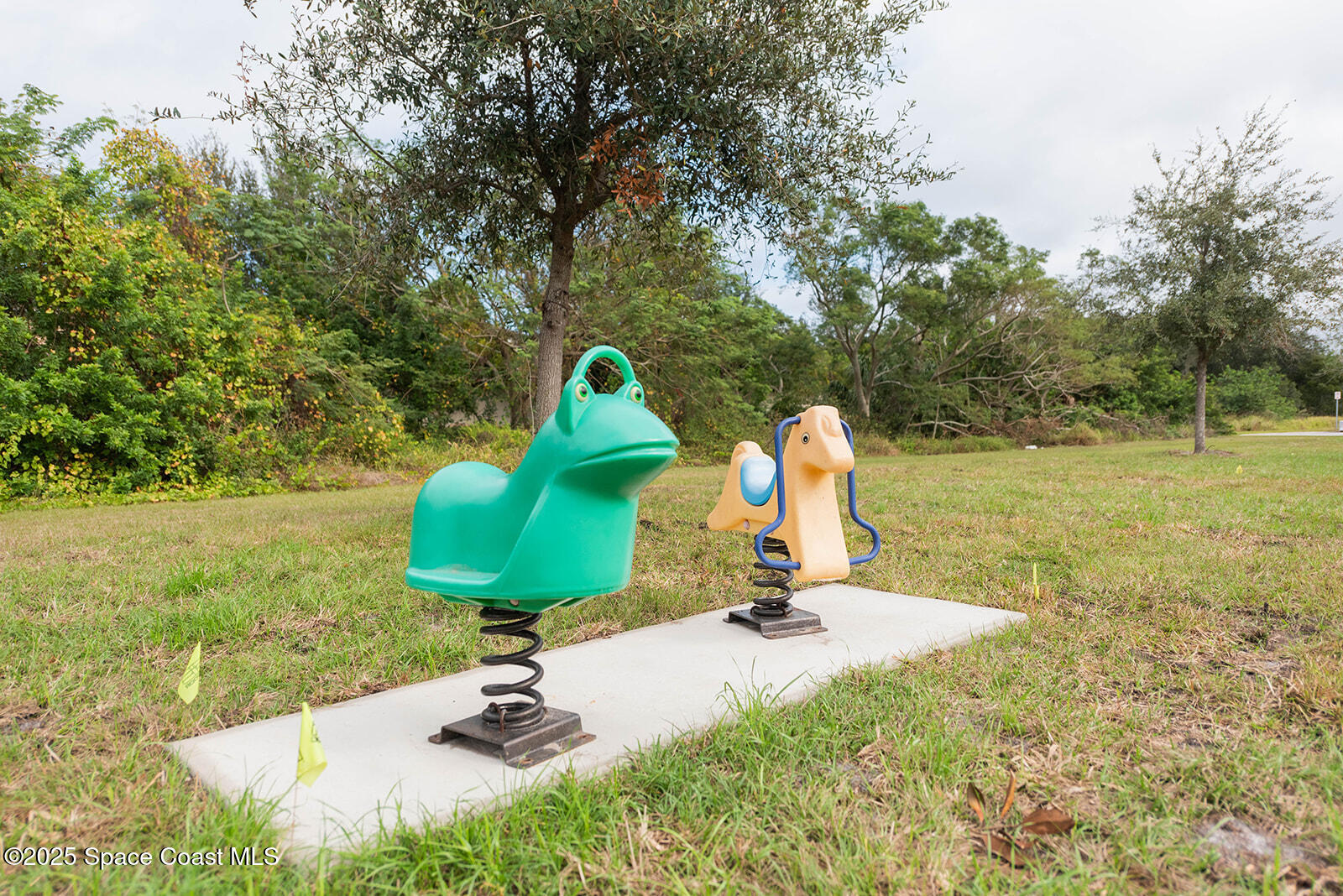 12164 Via Caselli Lane Windermere, FL 34786 - Photo 42 of 45 12164ViaCaselli-48