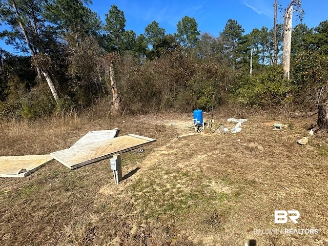 17245 County Road 87 Elberta, AL 36530 - Photo 9 of 11