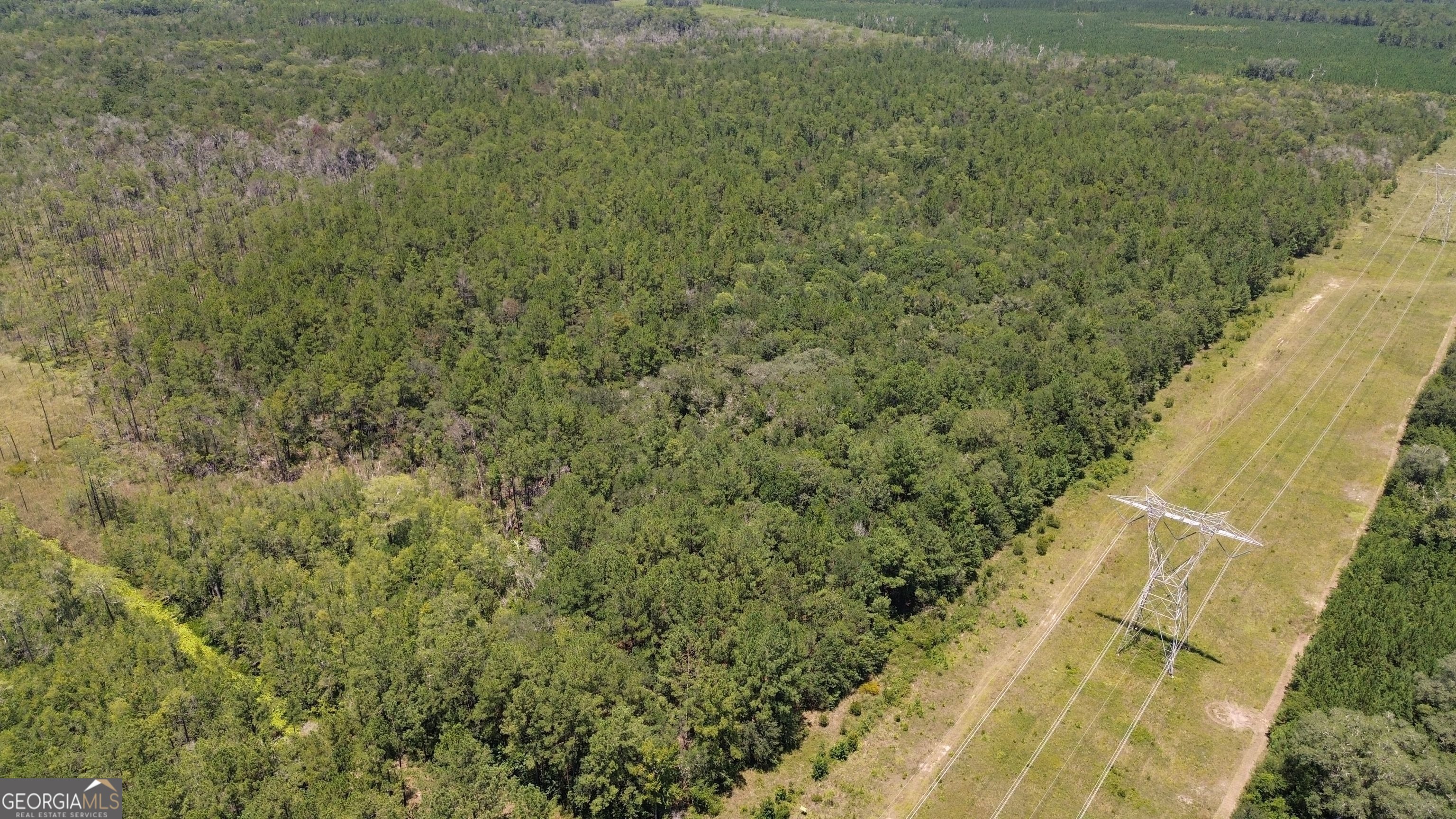 0 Butler Johnson Road White Oak, GA 31568 - Photo 22 of 31