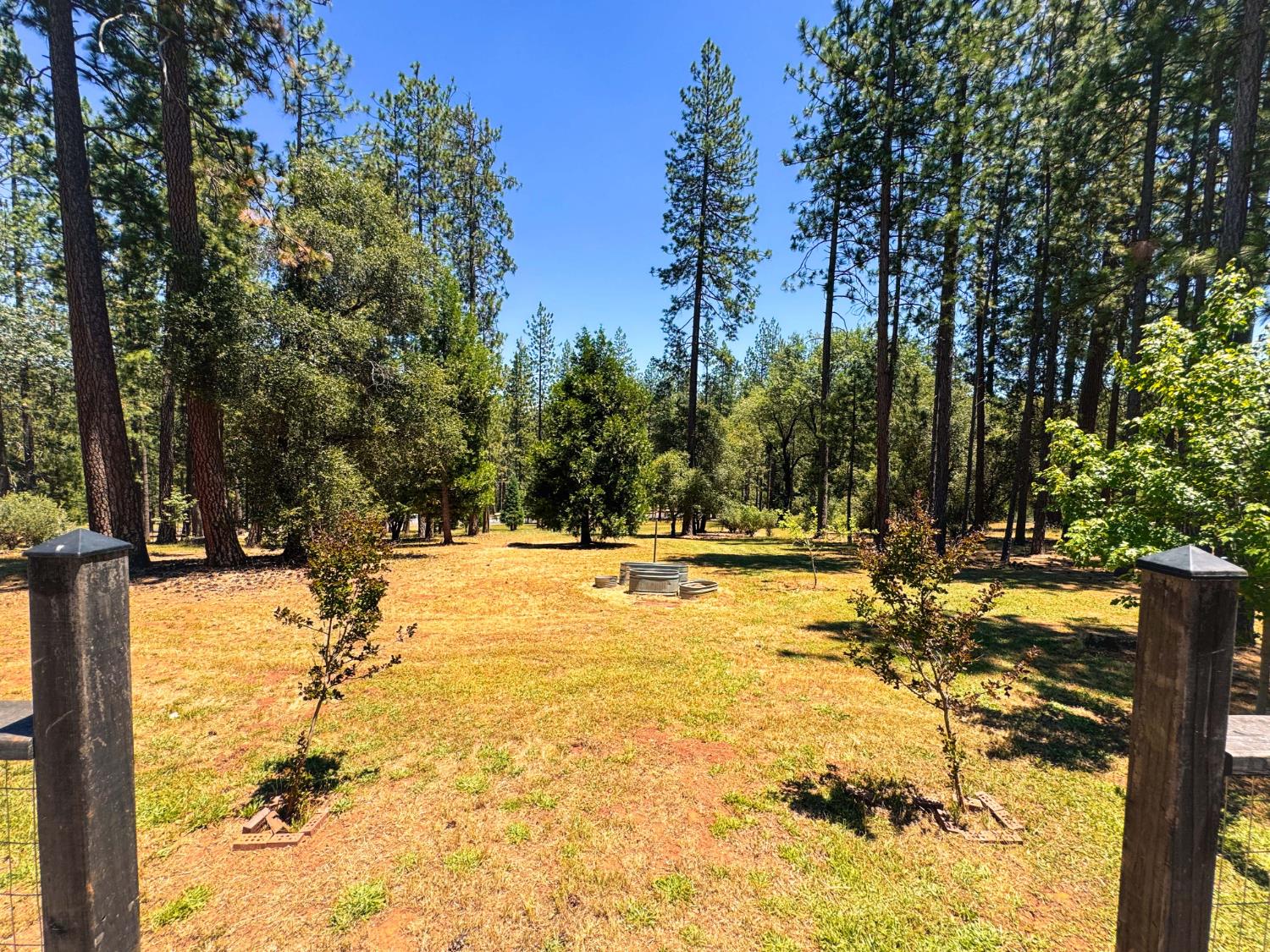 6425 Quartz Mine Road Mountain Ranch, CA 95246 - Photo 49 of 70