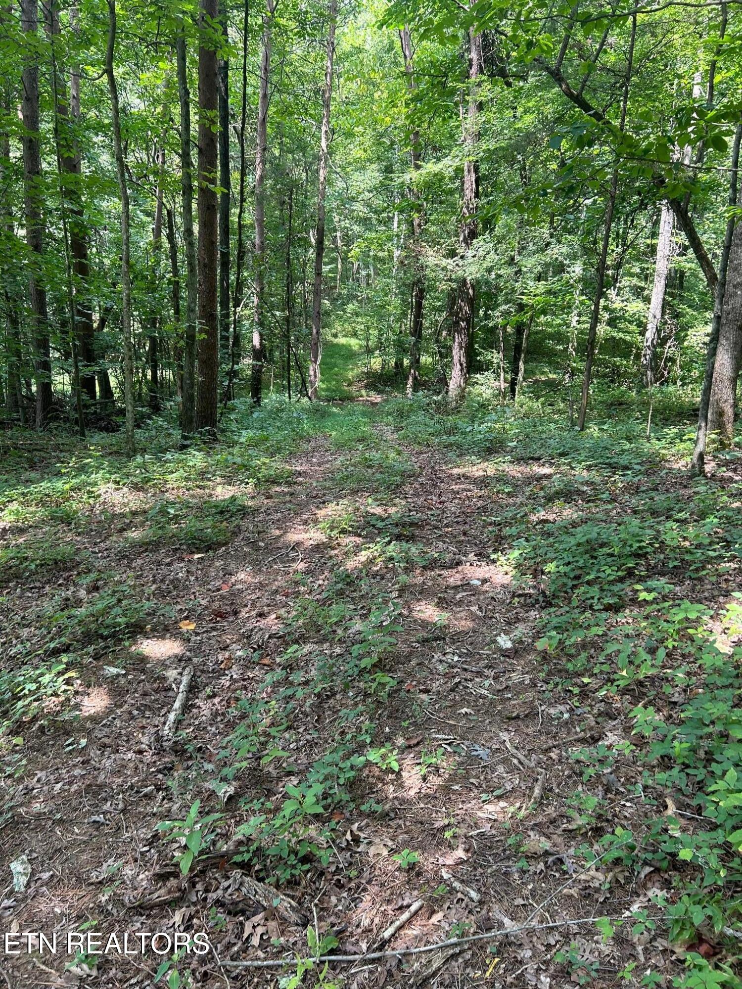 17 Pleasant View Cemetery Road New Market, TN 37820 - Photo 28 of 59 new list 1-2026 (49)