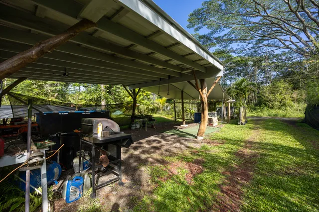 a view of a garden with wooden fence