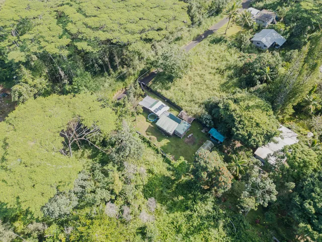 a aerial view of a yard with trees