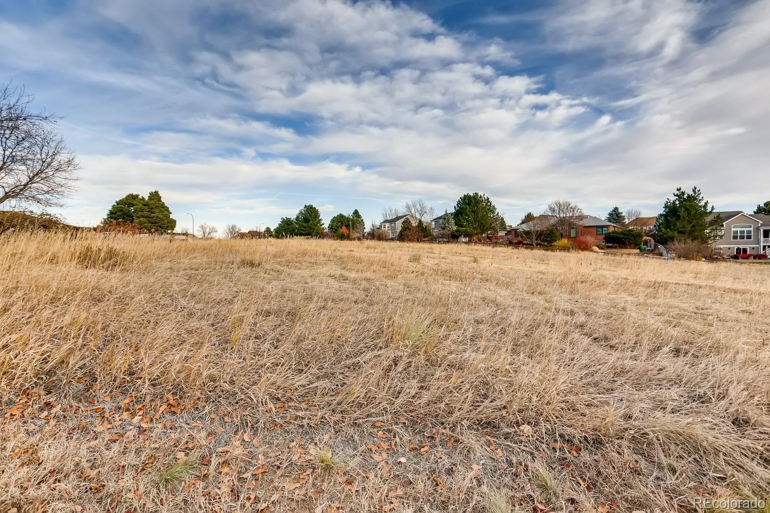 1515 Spring Water Place Highlands Ranch, CO 80129 - Photo 28 of 29